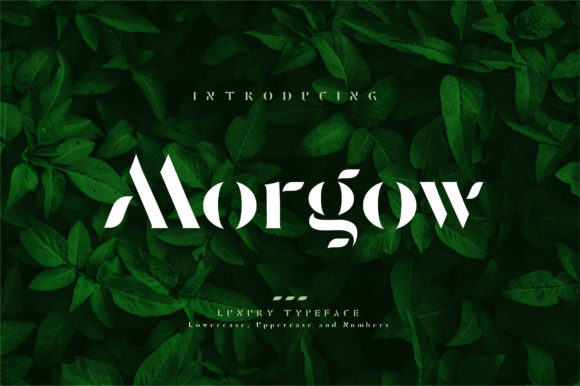 Morgow: A Minimalist Display Font for Creative Expression